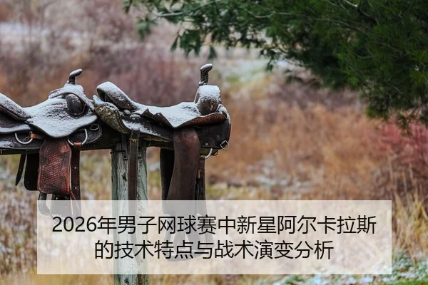 nian-nan-zi-wang-qiu-sai-zhong-xin-xing-a-er-ka-la-si-de-ji-shu-te-dian-yu-zhan-shu-yan-bian-fen-xi-2-875.jpg