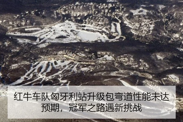 红牛车队匈牙利站升级包弯道性能未达预期，冠军之路遇新挑战