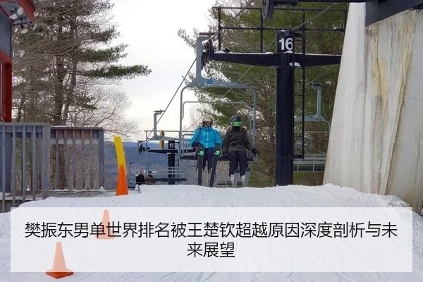 樊振东男单世界排名被王楚钦超越原因深度剖析与未来展望
